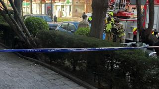 Los bomberos de Zaragoza durante su intervención en la zona de La Cartuja.