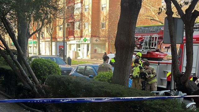 Los bomberos de Zaragoza durante su intervención en la zona de La Cartuja.