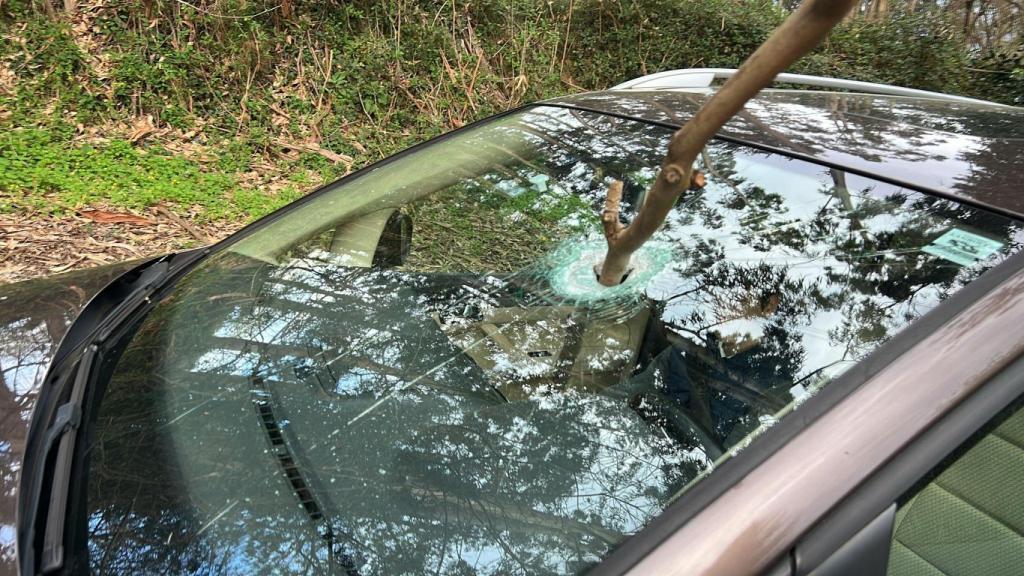 Una rama atraviesa el coche de un vecino de Sada (A Coruña)