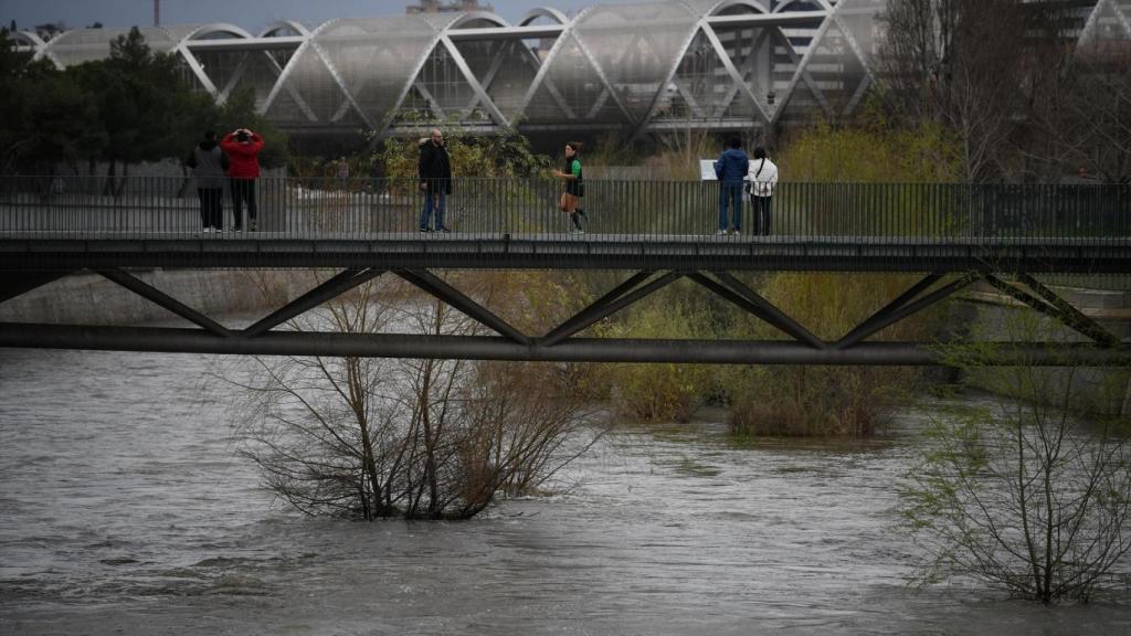 Varias personas en el parque de Madrid Río.