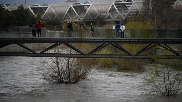 Varias personas en el parque de Madrid Río.