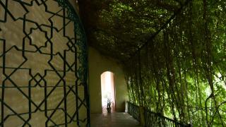 Un nueva zona visitable.