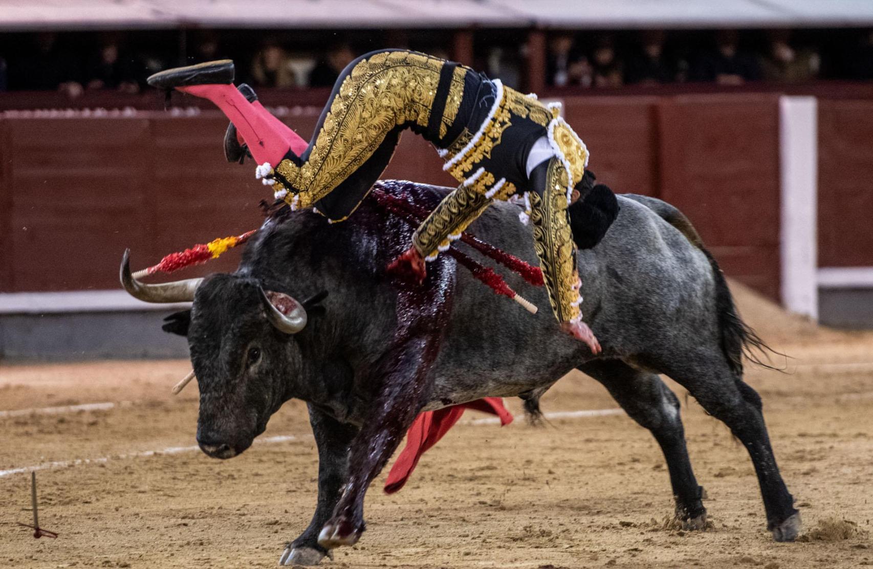 Cogida de Damián Castaño en Las Ventas