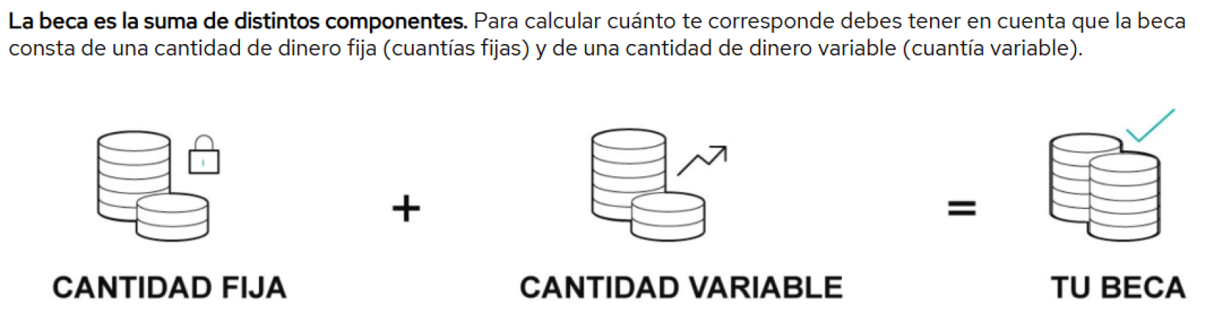 Explicación de la cuantía de la beca de Educación.