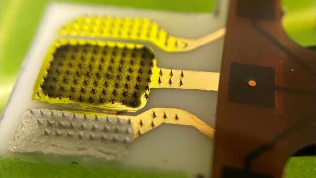 Parche para medir el estrés de las hojas de las plantas