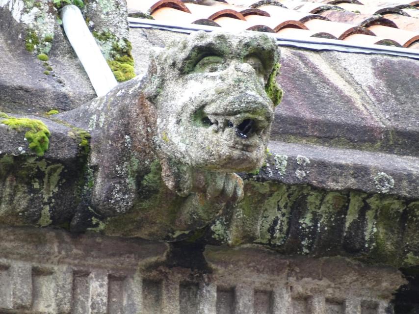Una de las gárgolas de Santiago.