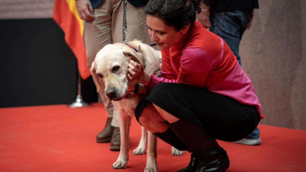 La presidenta de la Comunidad de Madrid, Isabel Díaz Ayuso, presenta la Estrategia Madrileña de Atención a Personas con Discapacidad-Horizonte 2028.