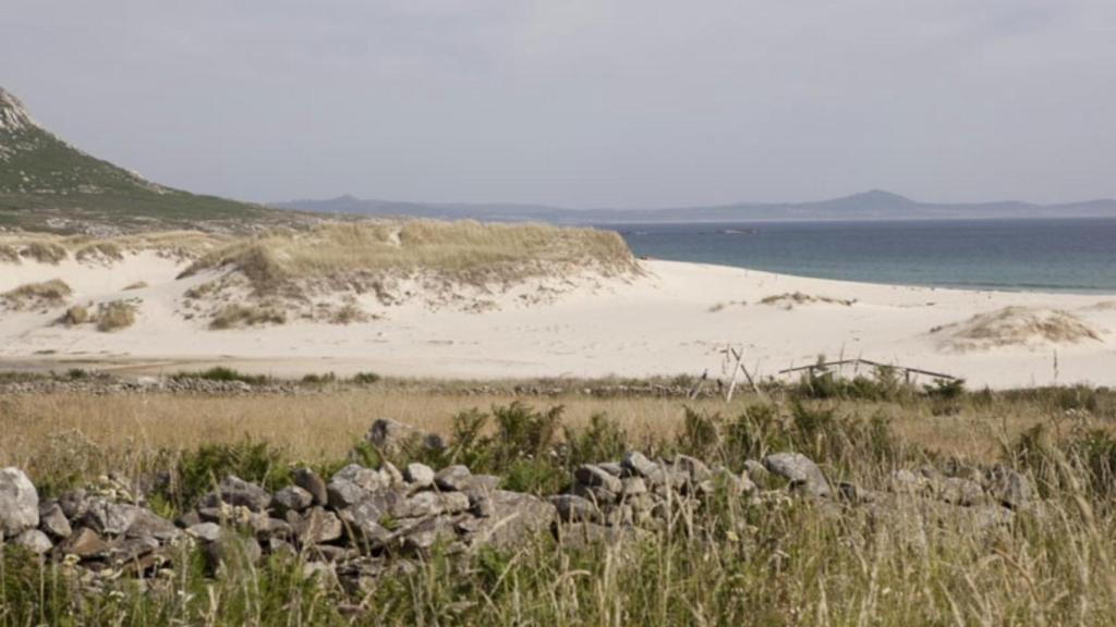 Dunas en la praia de Area Maior, Muros (A Coruña)