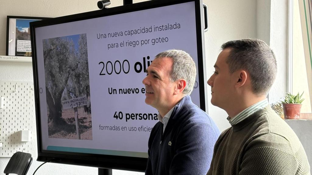 Un proyecto piloto de gestión del agua llegará a 2.000 olivos en los límites de Oliete y Alloza