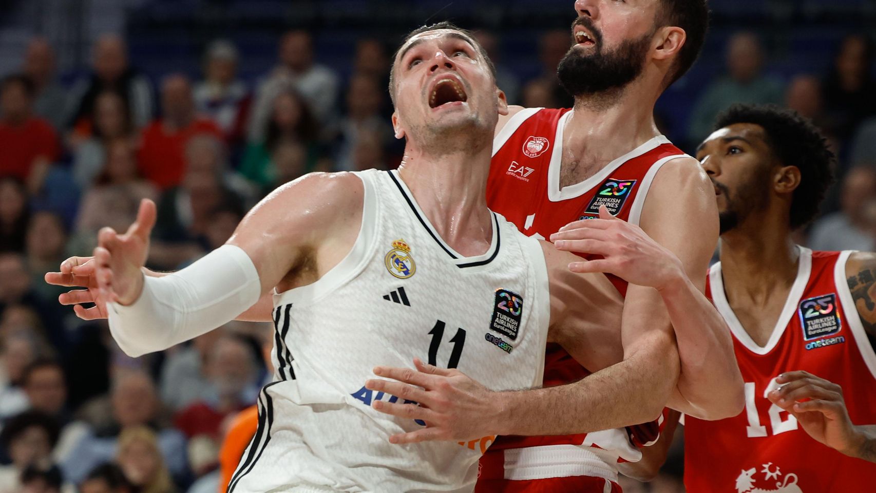 Real Madrid 96 - 89 Olimpia Milán: El Real Madrid no da ninguna opción ...