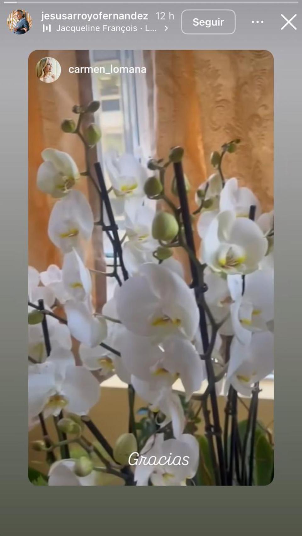 Jesús Arroyo ha replicado el vídeo que ha compartido Carmen Lomana tras recibir unas orquídeas.