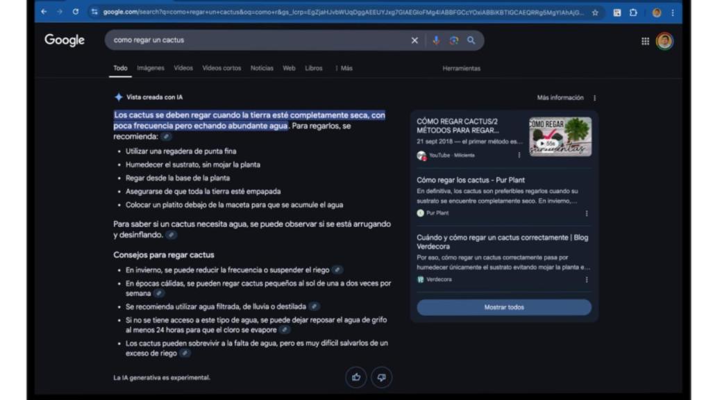Búsqueda Google con IA