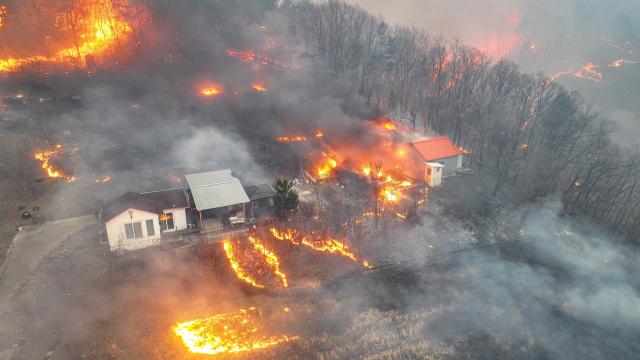 Una casa rodeada por las llamas en Uiseong, Corea del Sur.