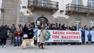 Los veterinarios se concentran de nuevo en A Coruña contra la nueva ley de fármacos
