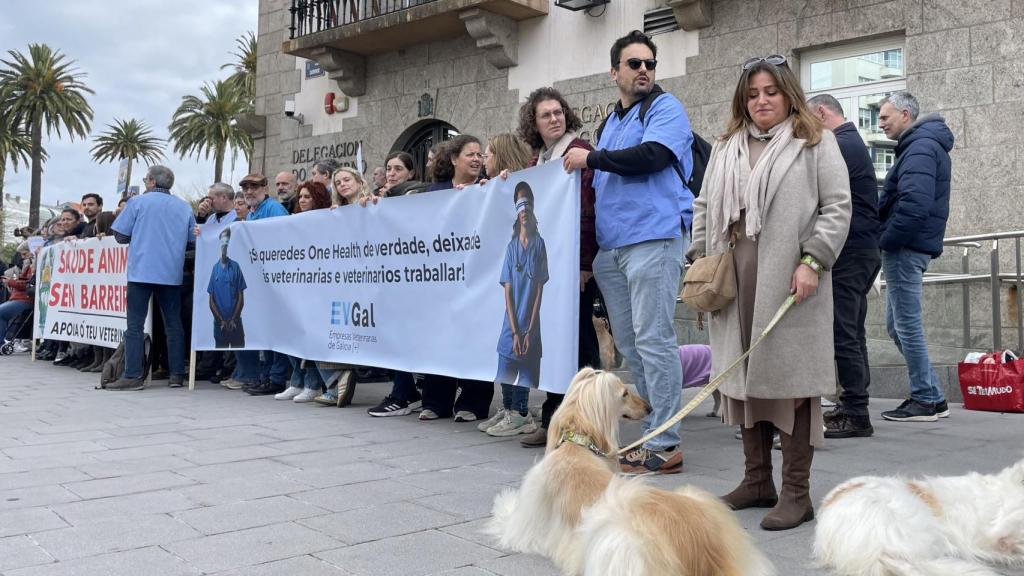 Protesta de veterinarios en A Coruña.