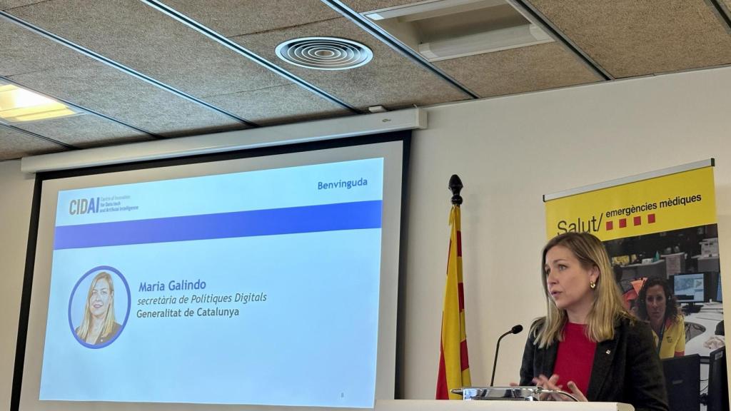 La secretaria de Políticas Digitales, Maria Galindo, durante una intervención.