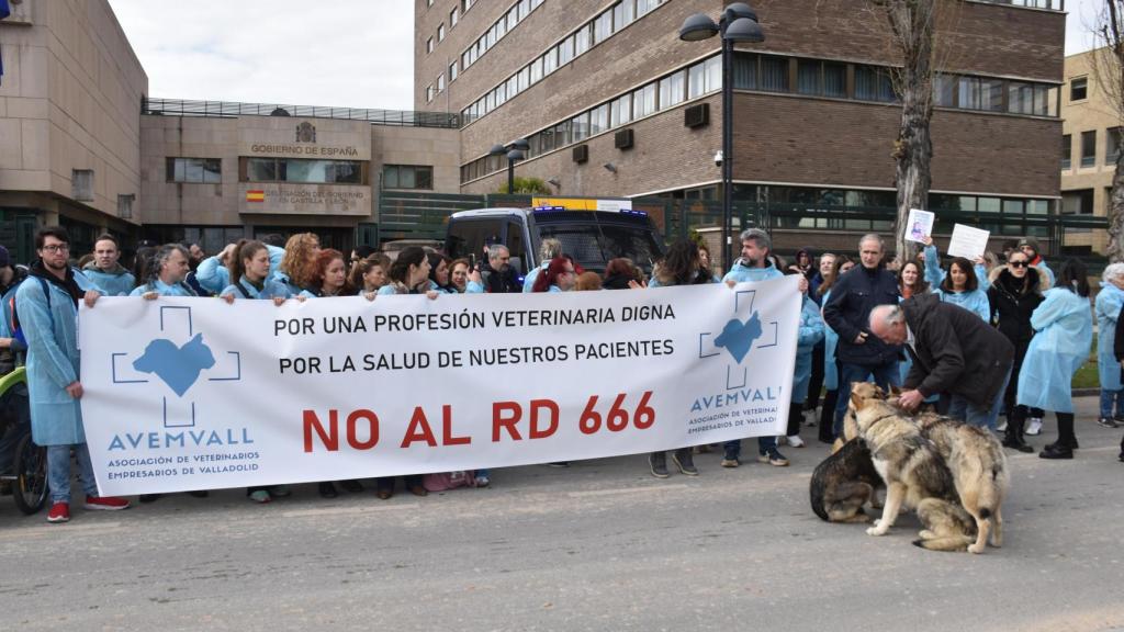 Los veterinarios de Valladolid a las puertas de la Delegación del Gobierno en Castilla y León