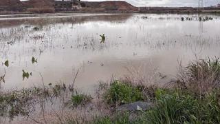 Una parcela inundada en Mocejón.