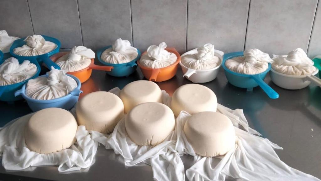 Quesos de Fernando Conde.