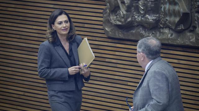La nueva vicepresidenta segunda de Les Corts, Magdalena González de la Red. José Cuéllar / Corts