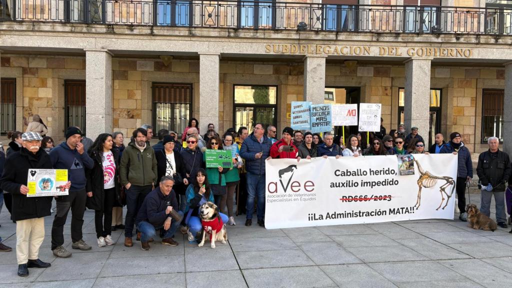 Manifestación de los veterinarios de Zamora