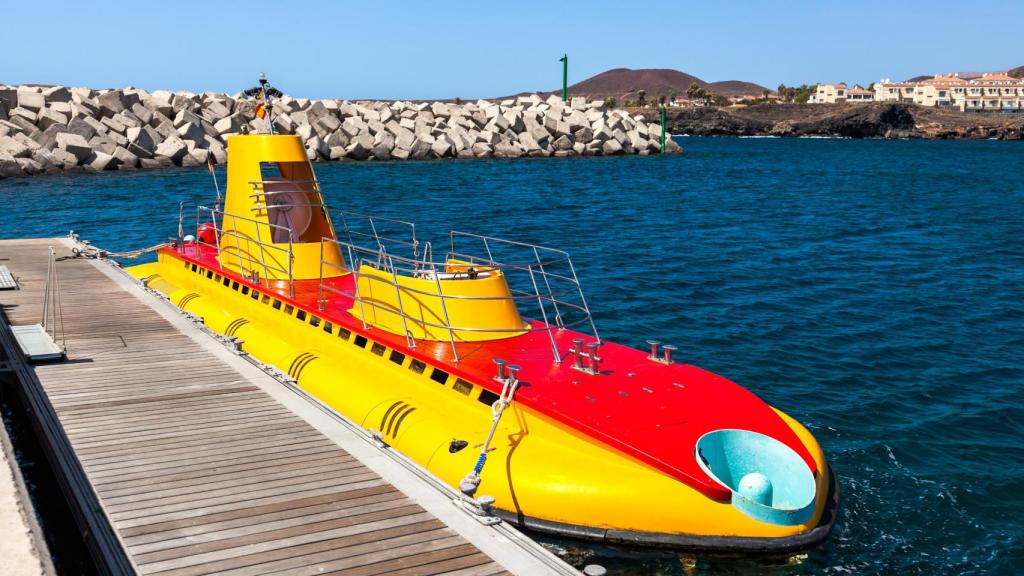 Los fondos marinos próximos a Tenerife rebosan vida.