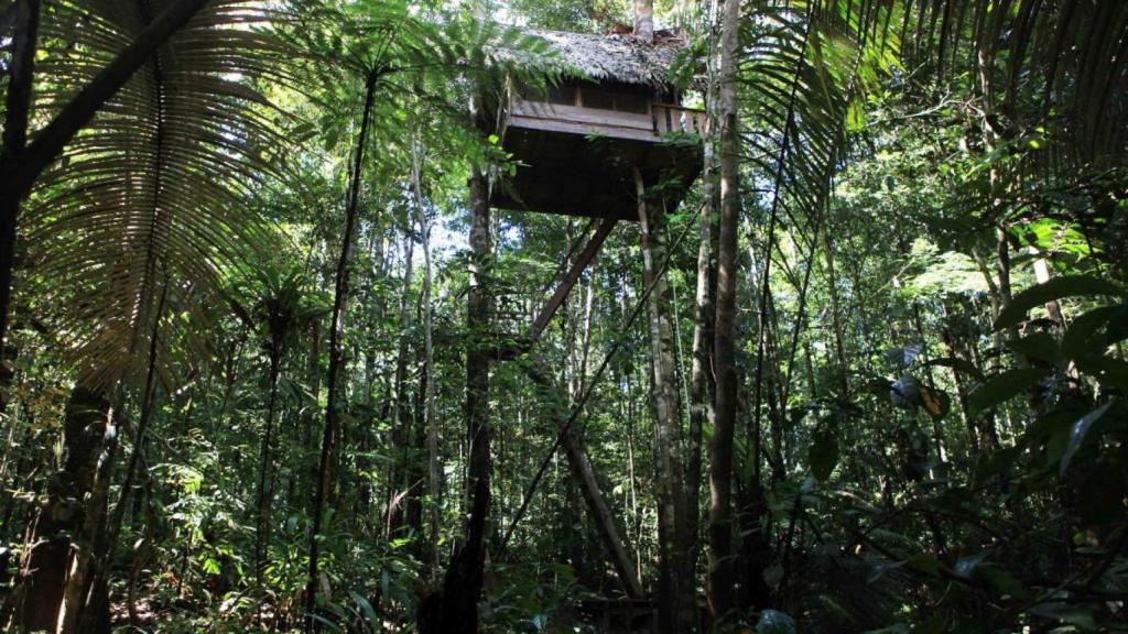 Reserva Natural Tanimboca.