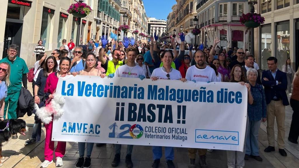 Concentración de los veterinarios en Málaga.