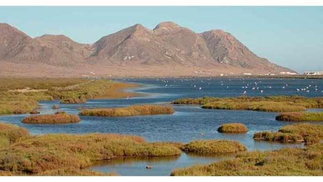 Así es el desierto vivo más importante de España: un contraste entre tierra y mar con dunas y salina