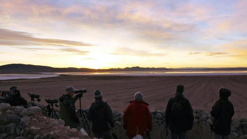 ⁠El espectáculo acuático natural poco conocido en España: una impactante laguna testigo de una gran migración de aves