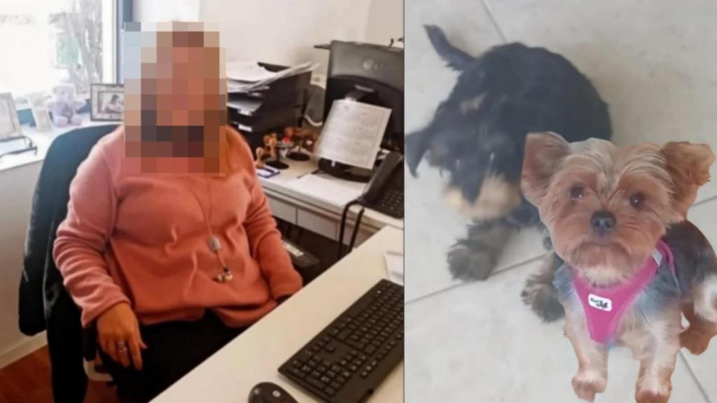 La mujer detenida por matar a sus perros Max y Bimba al tirarlos por el balcón.