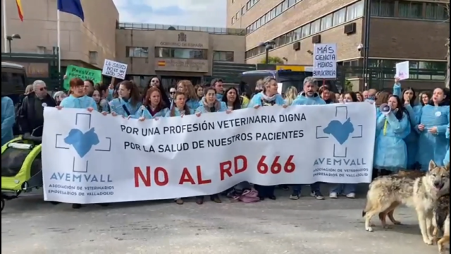 Los veterinarios de Valladolid protestan frente a la Delegación del Gobierno en Castilla y León