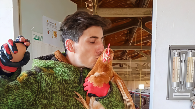 José María Martín, avicultor zamorano de la granja Los huevos de la abuela