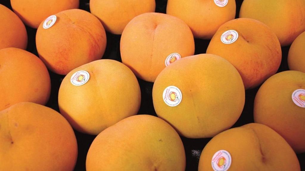 Melocotón de Calanda.