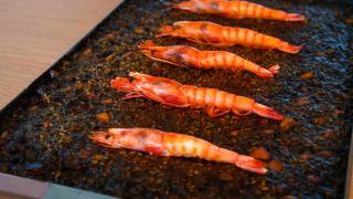 Arroz a la llauna de sepia bruta con gamba roja, en The Terminal Hub. EE