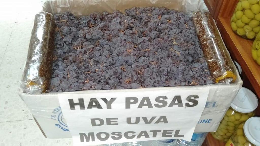 Una imagen de archivo de sus pasas.