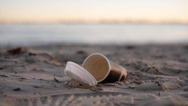 Un vaso de papel tirado en la playa, en una imagen de Shutterstock.