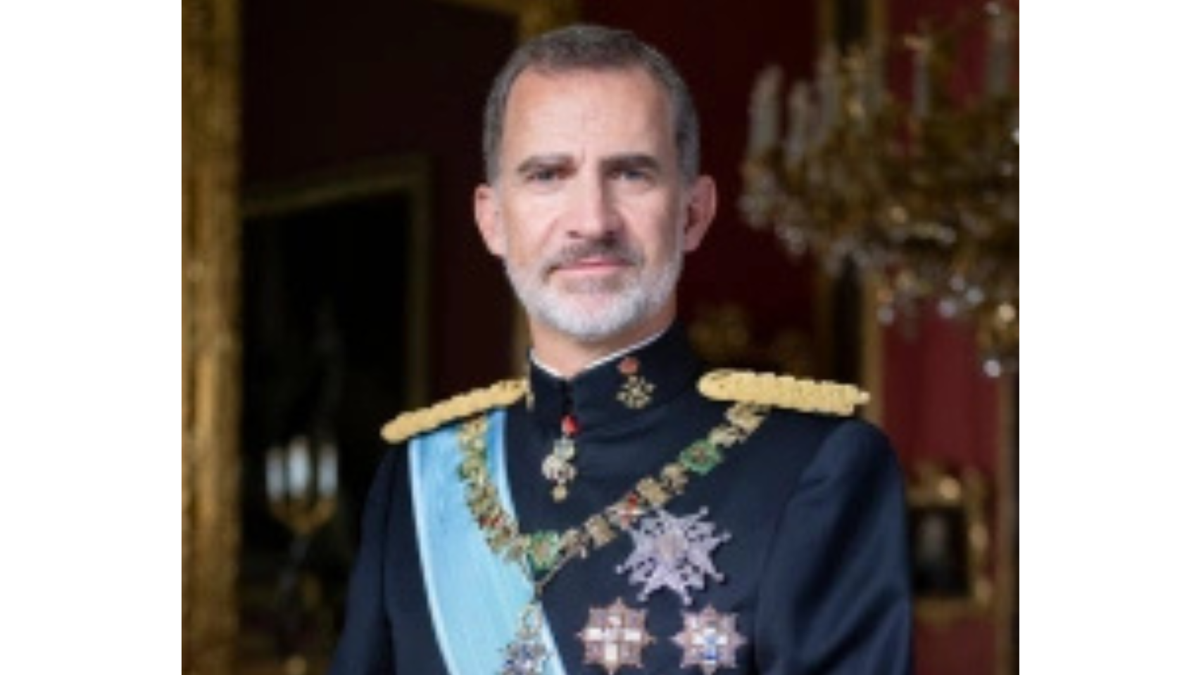 Su Majestad Don Felipe VI