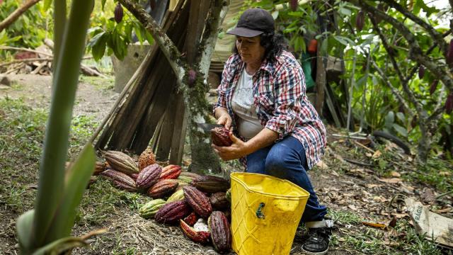 Emprender, el camino de las mujeres en Latinoamérica que quieren salir de la pobreza