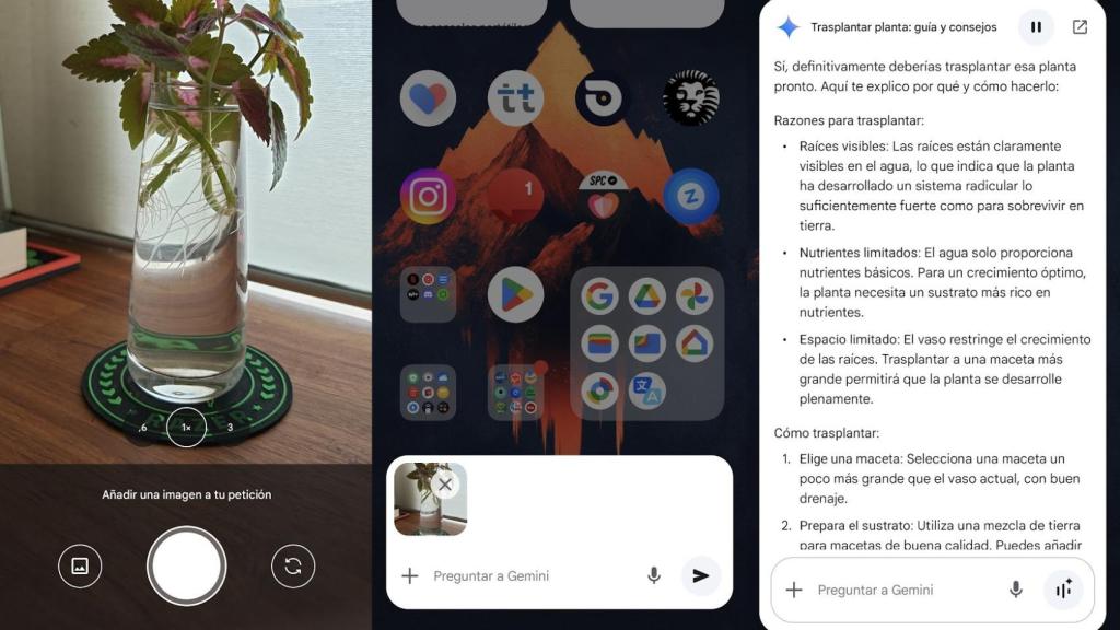 Cuidado de plantas en Gemini