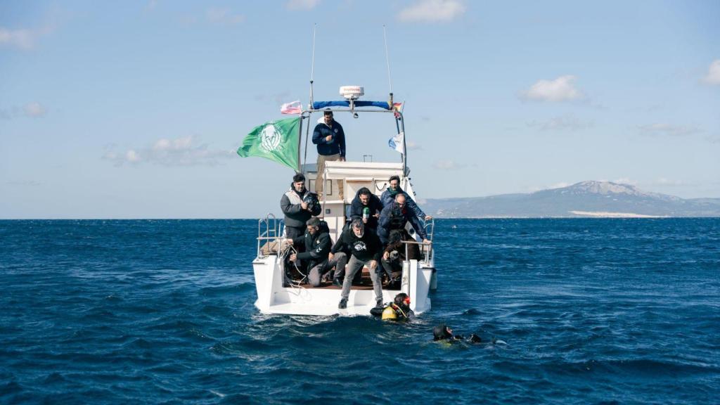 Preparación de la campaña.