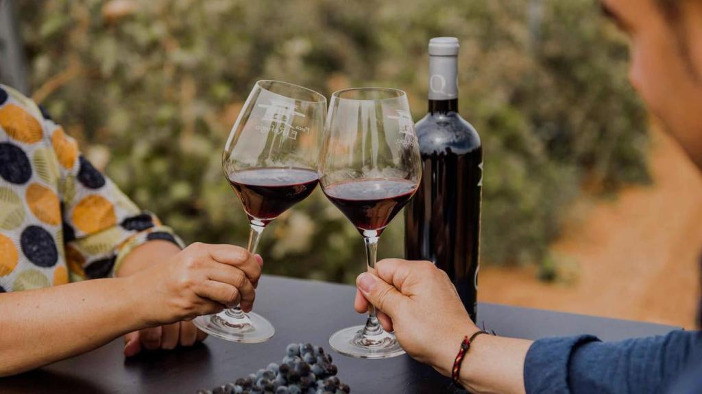 Cata de vino en viñedo, Finca El Refugio (Ciudad Real).