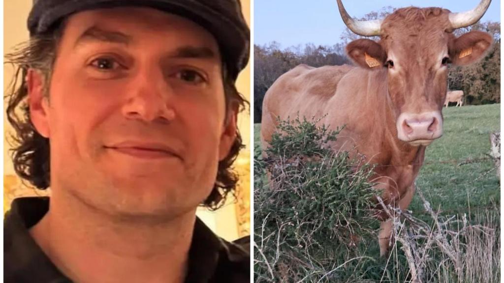 Superman descubre en Lugo la ternera gallega