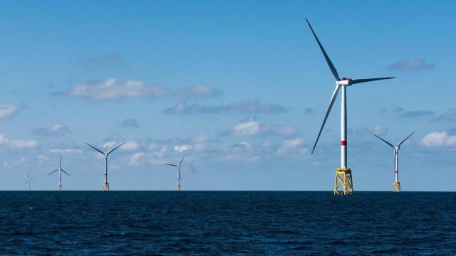 Un parque eólico marino.