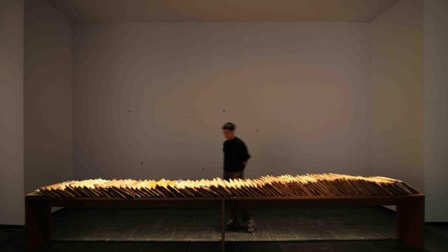 'Región de validez', 2017. Foto: Sue Ponce