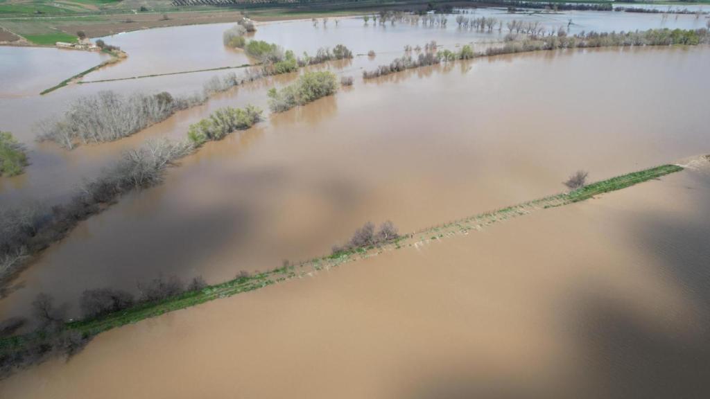 La finca Quintana de Aranjuez inundada tras las lluvias.