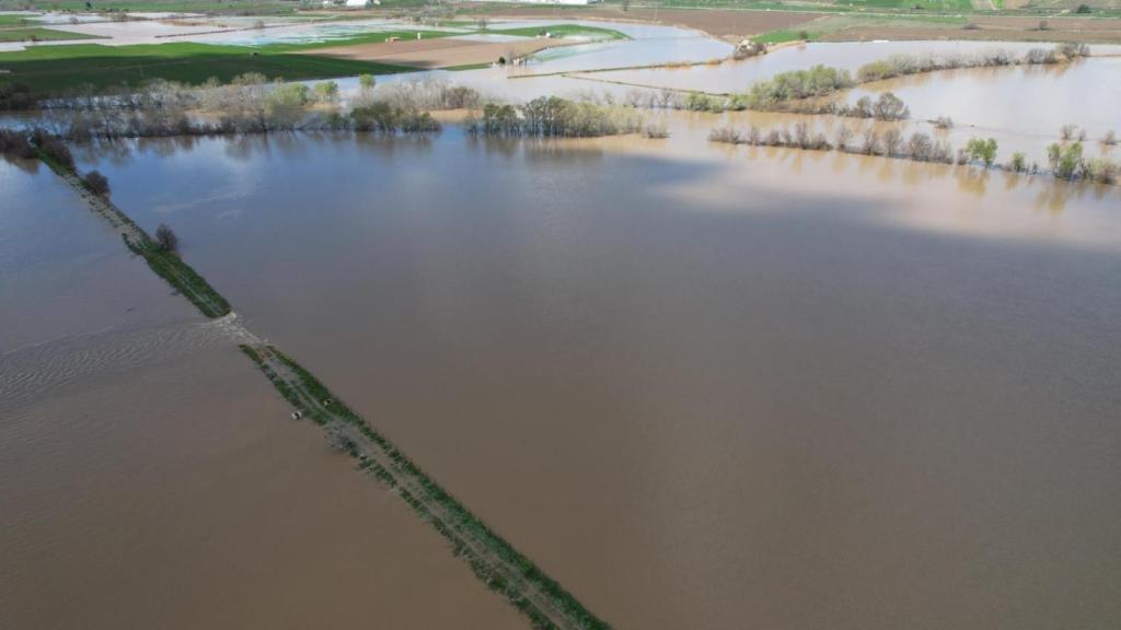 La finca Quintana de Aranjuez inundada tras las lluvias.