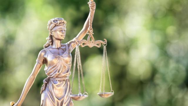 Las claves de una sentencia pionera sobre 'greenwashing' en España