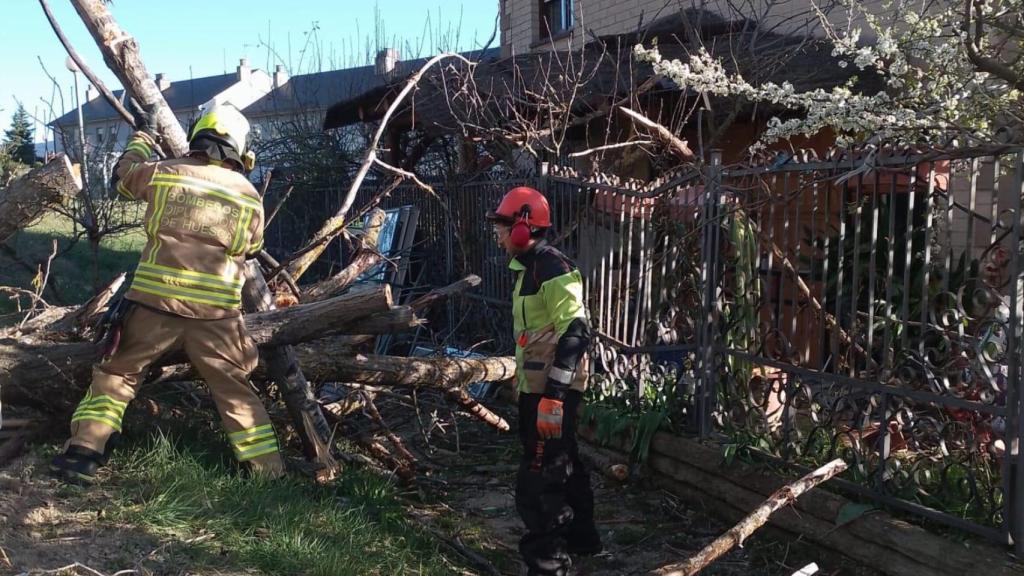 Fuertes rachas de viento derriban cuatro árboles y una valla publicitaria en Jaca (Huesca) dejando un hombre herido