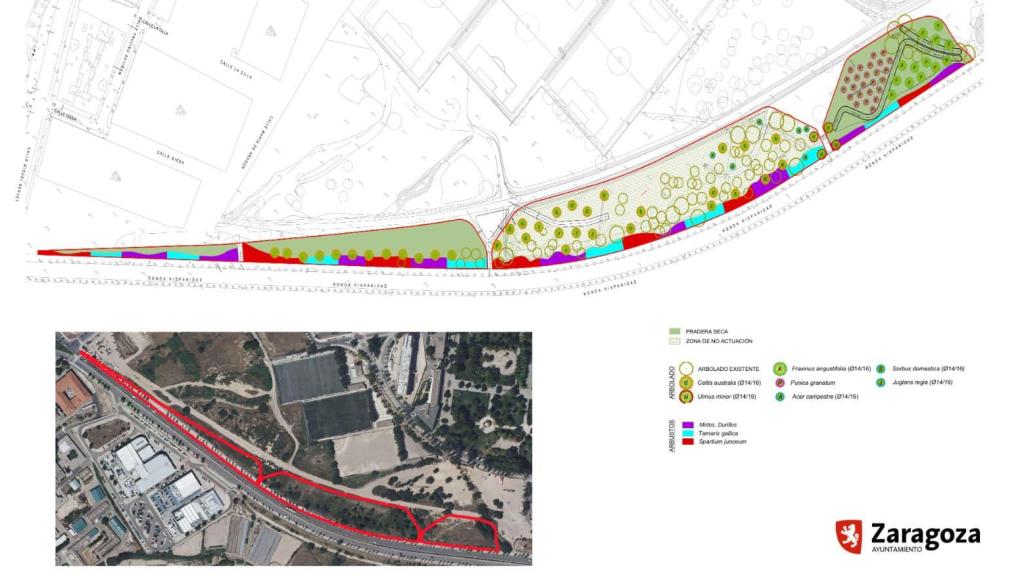 Zaragoza recupera la Olmeda de Torre Ramona con un bosque urbano de 2,2 hectáreas y una inversión de unos 400.000€